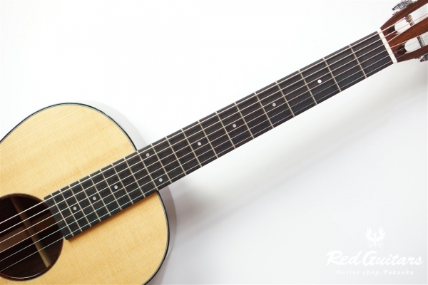 Model-00 Indian Rosewood